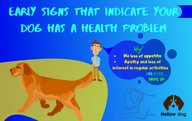 Early Signs that Indicate Your Dog has A Health Problem