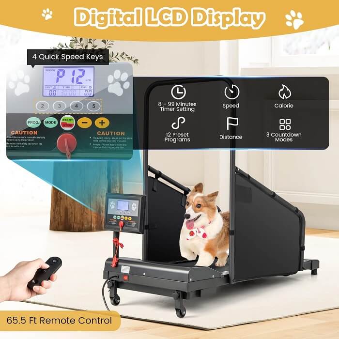 Goplus Dog Treadmill - Pet Running Machine for Small/Medium-Sized Dogs