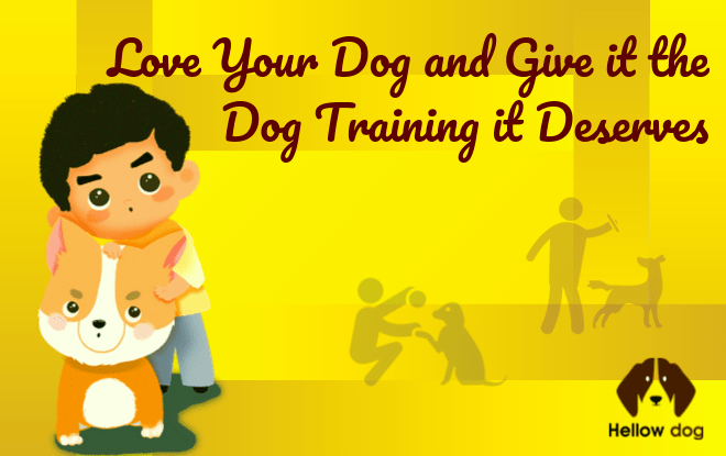 Love Your Dog Training