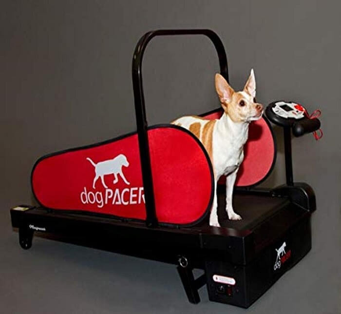 dogPACER MiniPACER Treadmill for Dogs.