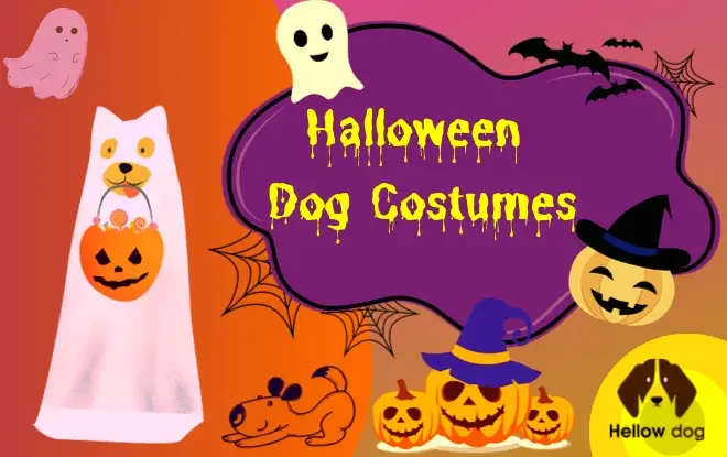 Best Halloween Dog Costume Ideas