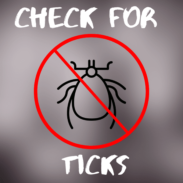 Check for ticks