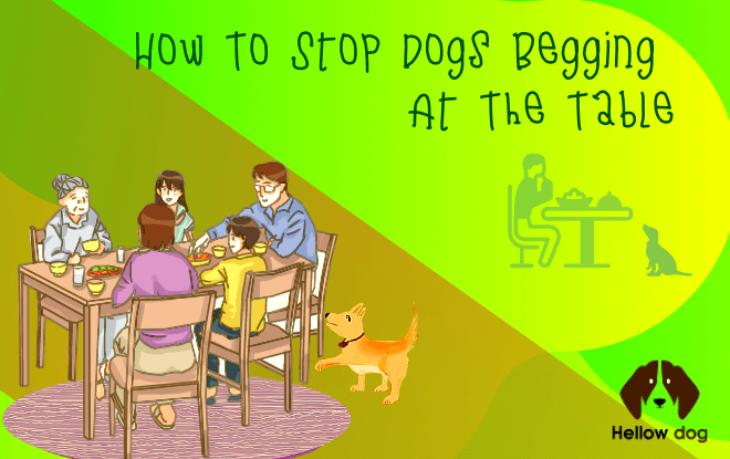 Dog Training:How To Stop Dogs Begging At The Table