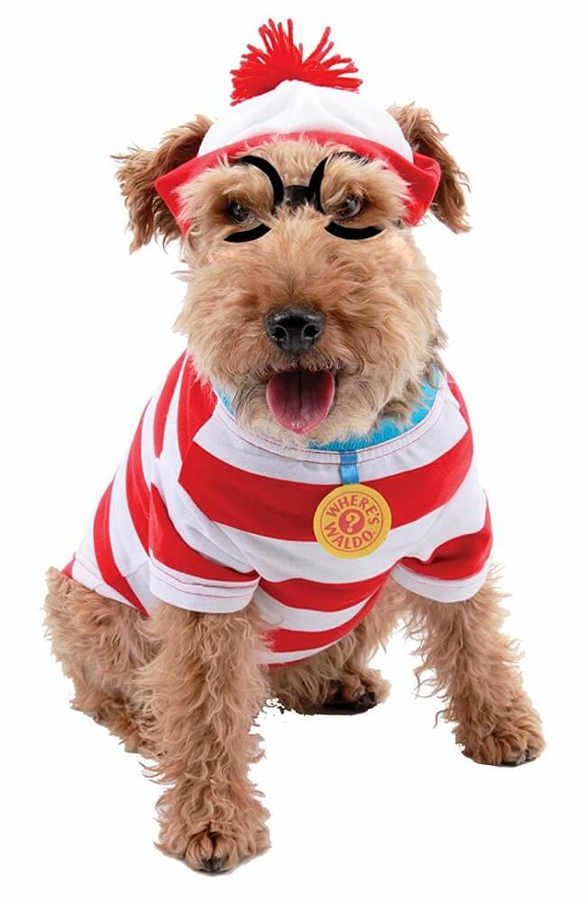 Elope Waldo Woof Dog Costume