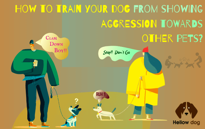 How to train your dog from showing aggression towards other pets