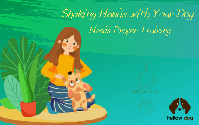 Shaking Hands with Your Dog Needs Proper Training
