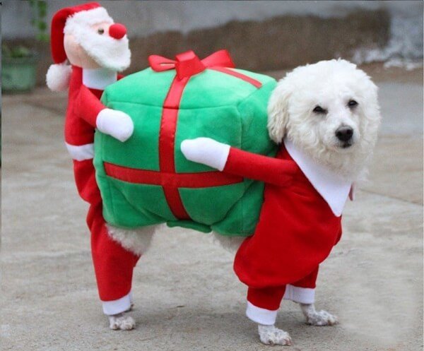 Filfeel Pet Christmas Coat
