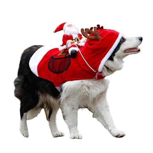 Royal Wise Running Santa Christmas Pet Costumes