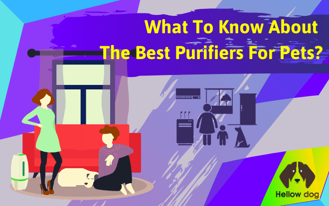 What To Know About The Best Air Purifiers For Pets