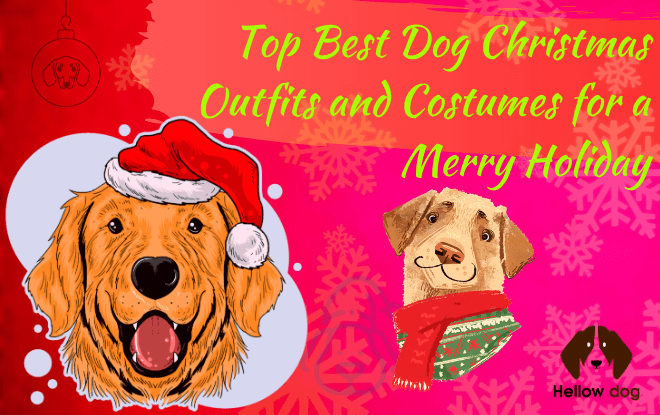 best dog Christmas Outfits