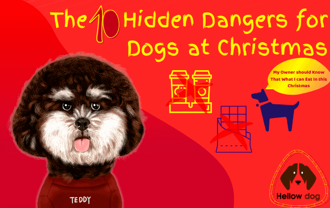 10 Hidden Dangers for Dogs at Christmas
