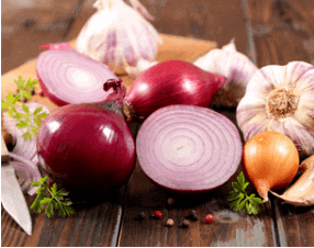 Onions and Garlic can be very toxic to your dogs
