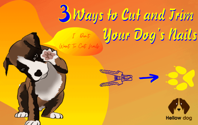 3 Ways to Cut and Trim Your Dog’s Nails
