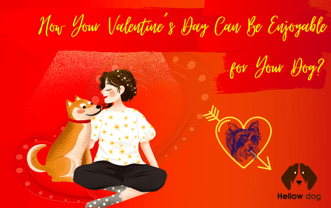 How Your Valentines’s Day Can Be Enjoyable for Your Dog