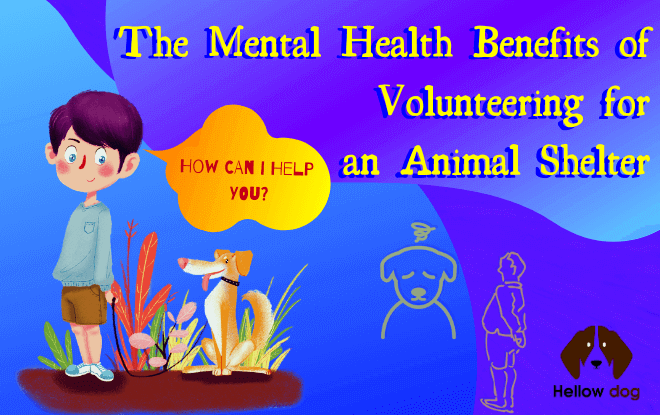 The Mental Health Benefits of Volunteering for an Animal Shelter