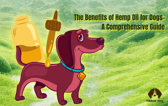 A vibrant photo illustrating the positive effects of hemp oil for dogs. A cheerful canine, full of vigor, symbolizing the well-being derived from incorporating hemp oil into their routine. Alt text: "Happy dog thriving with the benefits of hemp oil - A Comprehensive Guide.