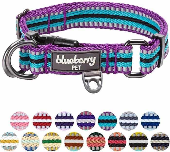Blueberry Multi-Colored Stripe Collection Dog Collar