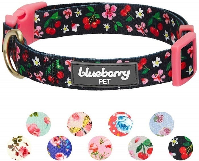 Blueberry Dog Collar 