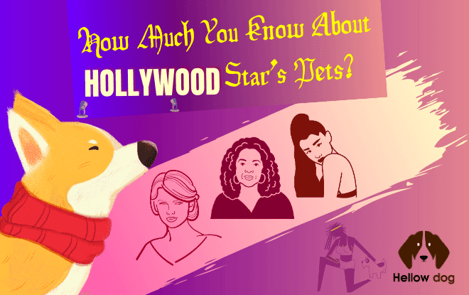 How Much You Know About Hollywood Star’s Pets