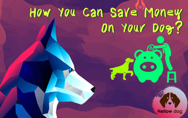 How you can save money on your dog