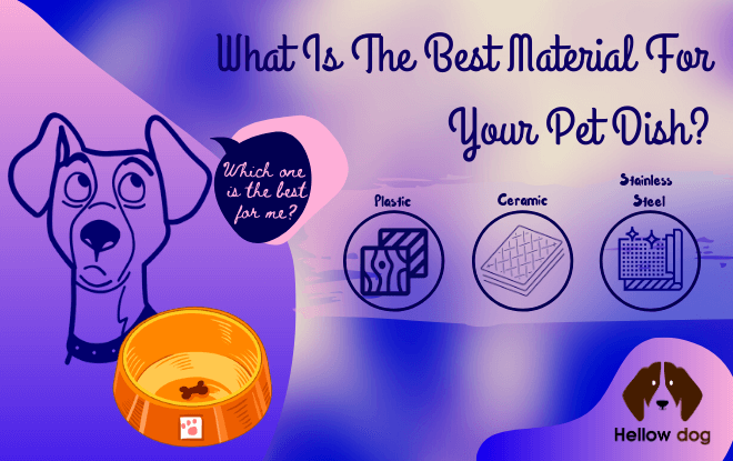 What is the Best Material For Your Pet Dish