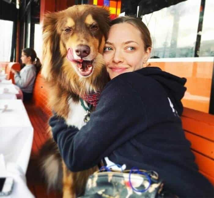 Amanda Seyfried and her dog Finn