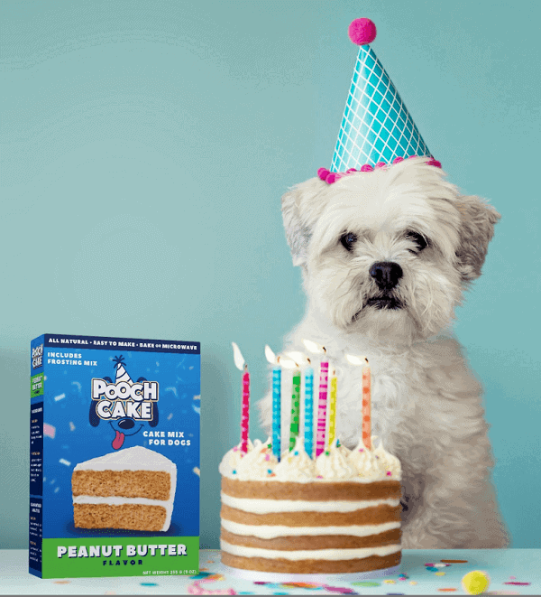 Cake mix for dogs