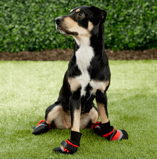 Ethical Pet Fashion Lookin' Good Extreme All Weather Boots, 4 count