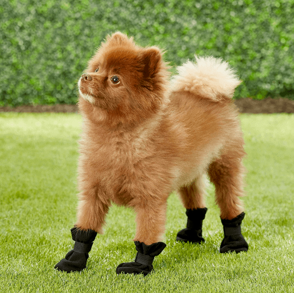 Ethical Pet Fashion Lookin' Good Fleece Boots, Black Arctic, 4 count
