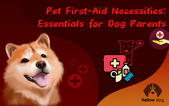 Pet First-Aid Necessities Essentials for Dog Parents