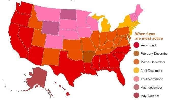 Map of warm months by the state