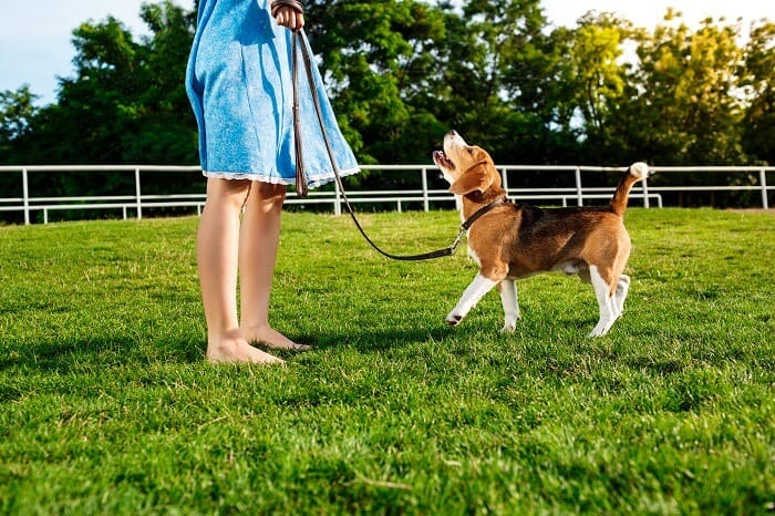 First-time dog owner holding a puppy outdoors on a leash