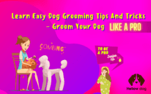 Learn Easy Dog Grooming Tips and Tricks – Groom Your Dog Like a Pro