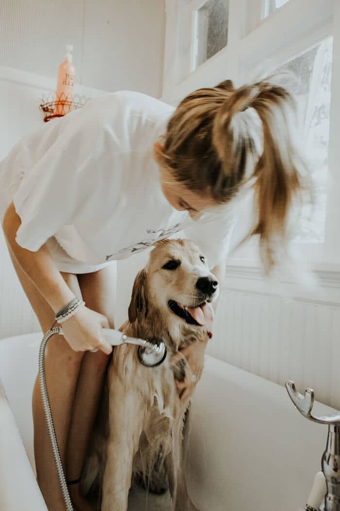 Tips on Bathing Your Dog