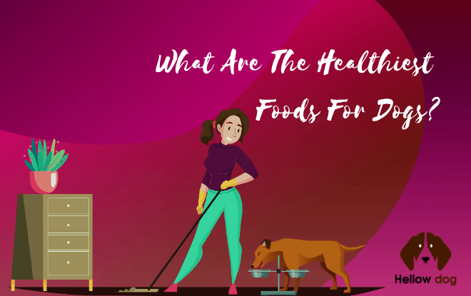 What Are The Healthiest Foods For Dogs