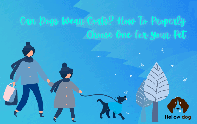 Can Dogs Wear Coats How To Properly Choose One For Your Pet