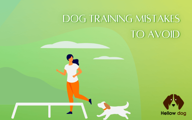 Dog Training Mistakes to Avoid