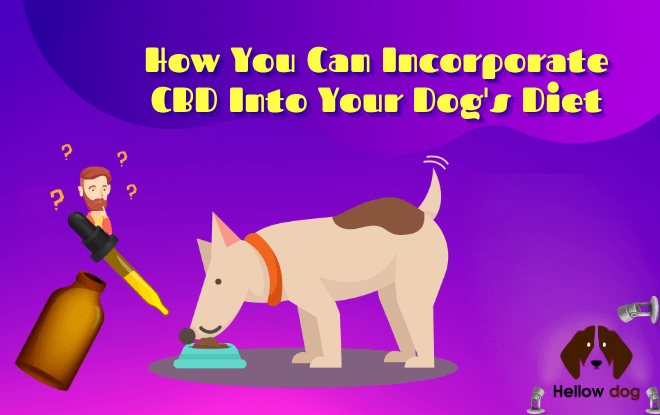 How You Can Incorporate CBD Into Your Dog's Diet