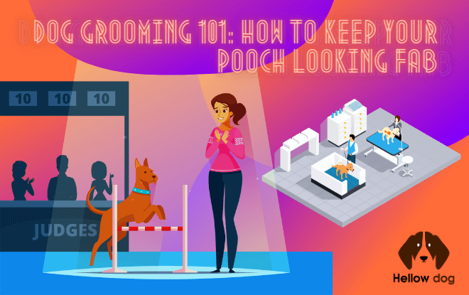 Dog Grooming 101 How to Keep Your Pooch Looking Fab
