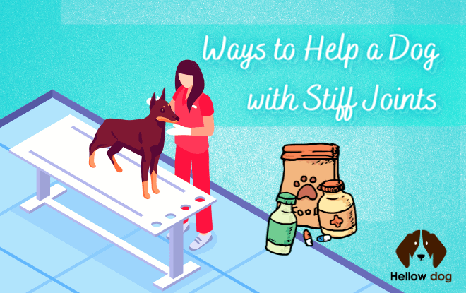 Ways to Help a Dog with Stiff Joints