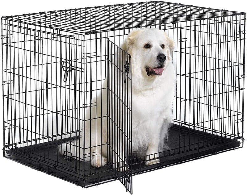 The dog is resting inside the cage