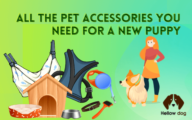 All the Pet Accessories You Need for a New Puppy