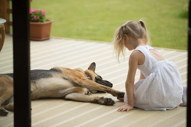 little girl holding dogs paw in hot day