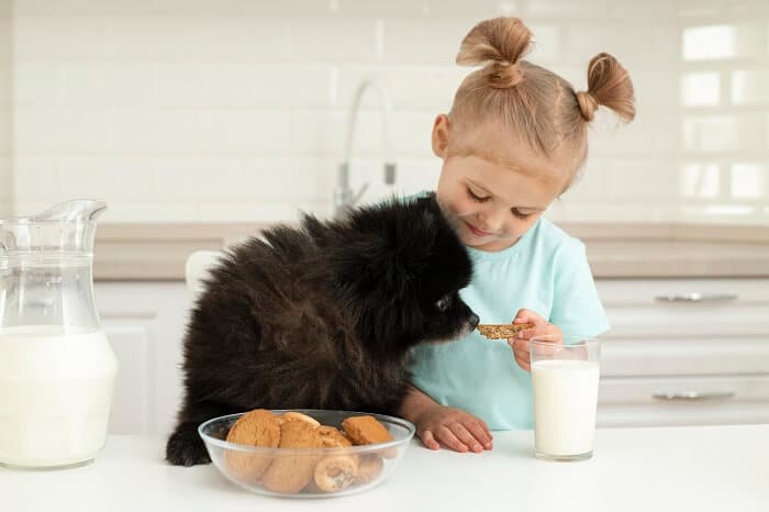 Keeping an Eye on Your Dog’s Diet