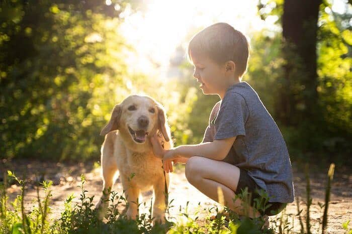 Dog Breeds Considered friendly For Kids