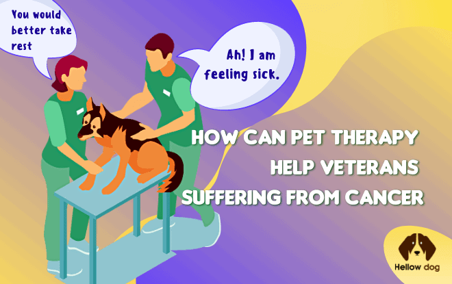 Let us know how pet therapy can help a veterinarian with cancer through this article.