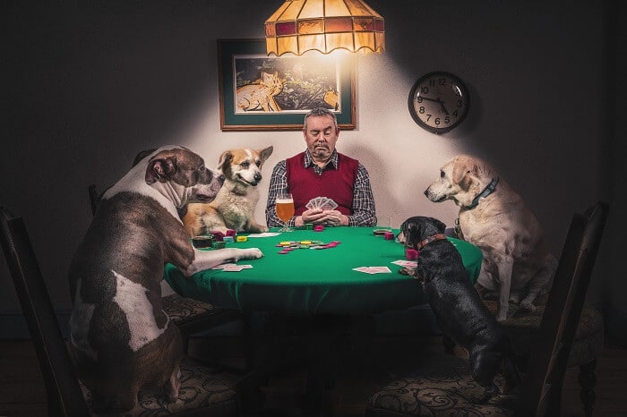 Time with pets works mental therapy all the time, here a gentleman is playing card with his pet dogs