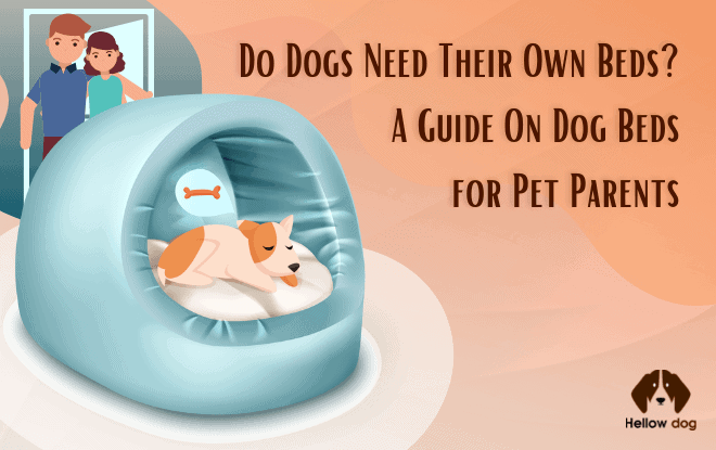 A Guide on Dog Beds for Pet Parents