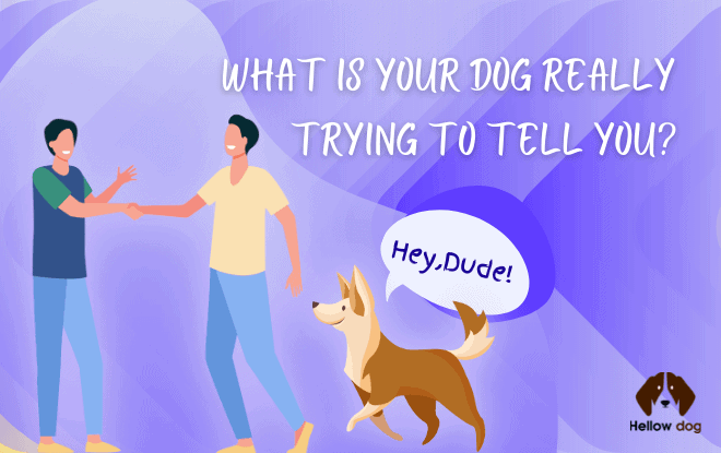 Dog Trying to Tell You