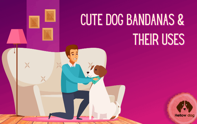 Cute Dog Bandanas & their Uses